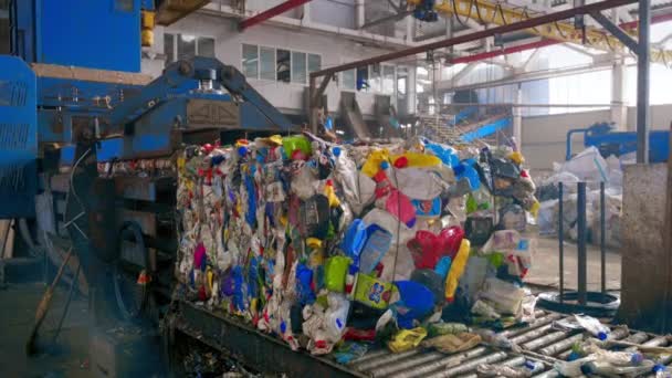 Máquina Prensado Que Hace Cubo Basura Plástica Planta Clasificación Residuos — Vídeo de stock