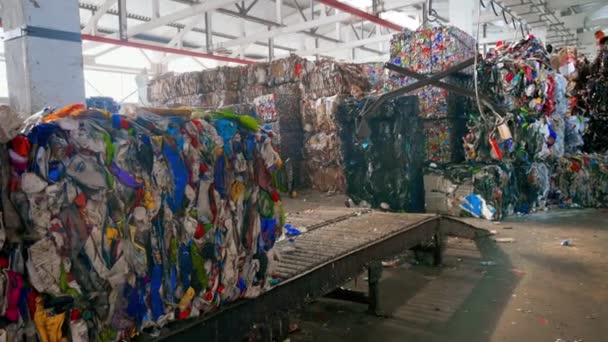 Vista Del Interior Una Planta Clasificación Residuos Cubos Basura Comprimida — Vídeo de stock