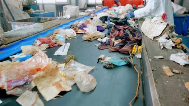 Workers Special Wear Sorting Garbage Conveyor Belt Waste Sorting Plant — Stock Video