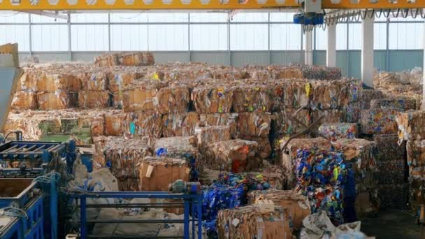 Vista Del Interior Una Planta Clasificación Residuos Cubos Basura Comprimida — Vídeo de stock