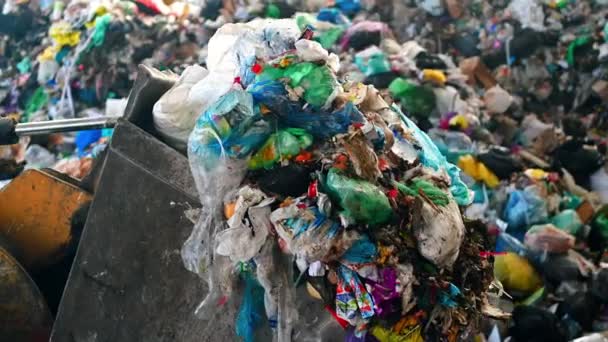 Ein Bagger Bringt Abfall Einen Großen Müllhaufen Der Müllsortieranlage Zeitlupe — Stockvideo