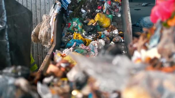 Arbeiter Die Einer Müllsortieranlage Müll Auf Ein Förderband Laden Zeitlupe — Stockvideo