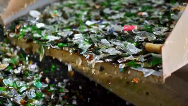 쓰레기 공장에서 컨베이어 벨트에 쓰레기를 분류하는 — 비디오