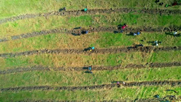 自然の中で木の植え付けのための溝を掘るボランティアの空中ドローン垂直ビュー — ストック動画