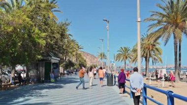 ALICANTE, İSPAN - 2023 Nisanı: Palmiye ağaçlarıyla bir deniz kenarında yürüyen insanlar