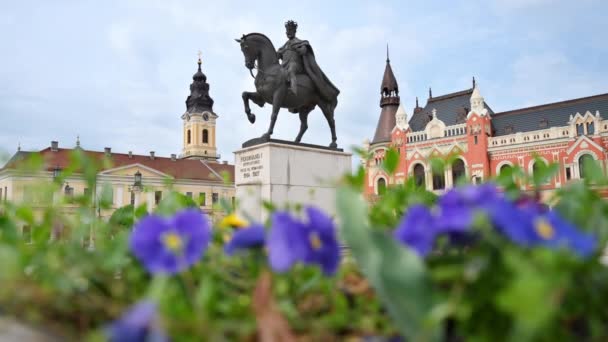 フェルディナンド1世像の眺めルーマニアのダウンタウンのオラデアにあるユニリ広場にあります 手前の花 — ストック動画