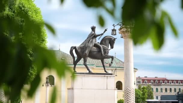 フェルディナンド1世像の眺めルーマニアのダウンタウンのオラデアにあるユニリ広場にあります 緑の景色 — ストック動画