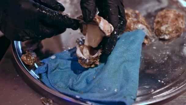 Adam Eller Deniz Ürünleri Restoranında Istiridyeleri Özel Bıçakla Temizleyip Açıyor — Stok video