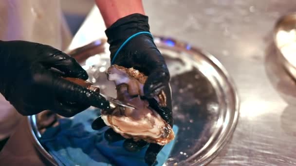 Uomo Mani Pulizia Apertura Ostriche Con Coltello Speciale Ristorante Pesce — Video Stock