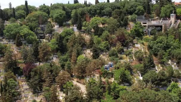 Vista Vertical Aérea Del Cementerio Eyup Estambul Turquía Múltiples Tumbas — Vídeo de stock
