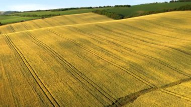 Moldova 'da tepeler ve tarlalarla birlikte doğanın insansız hava aracı görüntüsü. Gün doğumu, altın saat