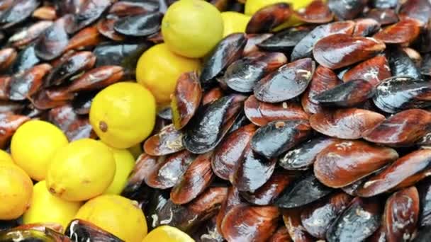 トルコのイスタンブールのカウンターで新鮮なムール貝とレモンの近くの景色 — ストック動画