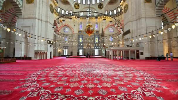 Stanbul Türkiye Deki Süleyman Camii Nin Manzarası Bir Sürü Aydınlatma — Stok video
