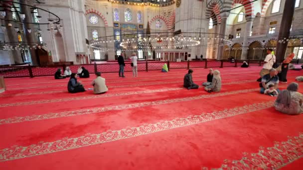 Istanbul Turkey June 2023 Interiør Suleymaniye Moskeen Istanbul Tyrkia Mye – stockvideo