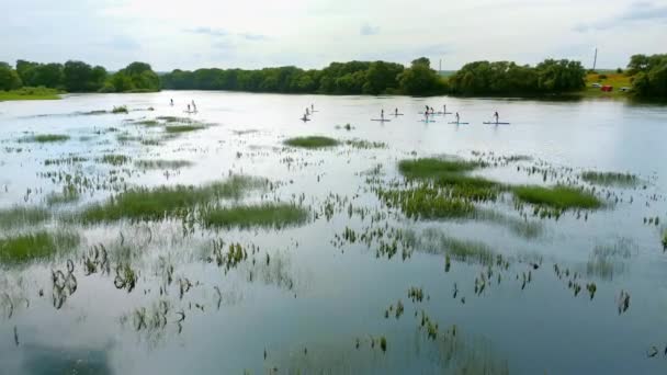 在摩尔多瓦的德涅斯特河上 空中无人侦察机看到许多人在做滑板 河流两岸茂密的森林 — 图库视频影像