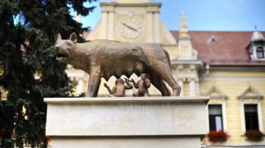 Romanya 'nın eski Brasov şehir merkezindeki Capitoline Wolf anıtının manzarası. Arka planda kasaba evi var.