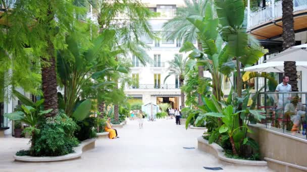Monaco Monaco Agosto 2023 Paisaje Urbano Vegetación Caminatas Edificios Clásicos — Vídeo de stock