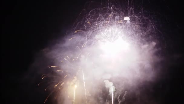 Feuerwerk Beim Festival Von Cannes Der Nacht Frankreich Zeitlupe — Stockvideo