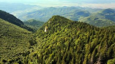 Romanya 'daki Karpatların insansız hava aracı görüntüsü. Dağ yamaçları yemyeşil ormanlarla kaplı.