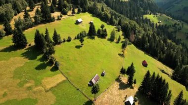 Romanya 'daki Karpatların insansız hava aracı görüntüsü. Dağ ve tepe yamaçları yemyeşil orman, çayır ve küçük evlerle kaplıdır.