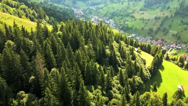 ルーマニアのムエヴァル サスの空中ドローンビュー 緑豊かな森と牧草地で覆われた山の近くの谷に位置する小さな町 — ストック動画