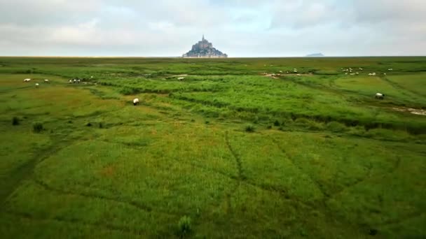 法国诺曼底圣米歇尔山的无人驾驶飞机图像 有牧羊的绿地 — 图库视频影像