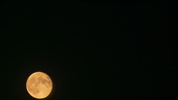 Grande Lune Orange Levant Sur Ciel Noir Nuit — Video