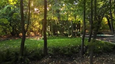 Doğadaki ayna yüzüyle glamping yapan bir cam ev manzarası. Çevrede yemyeşil orman