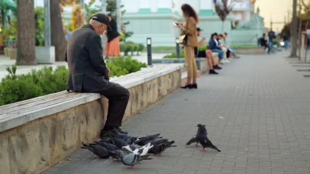 몰도바 2023년 10월 시내의 벤치에 앉아서 비둘기를 먹이는 — 비디오