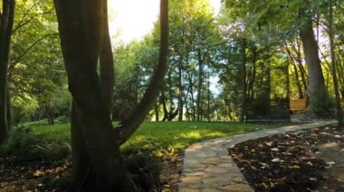 Doğadaki ayna yüzüyle glamping yapan bir cam ev manzarası. Çevrede yemyeşil orman