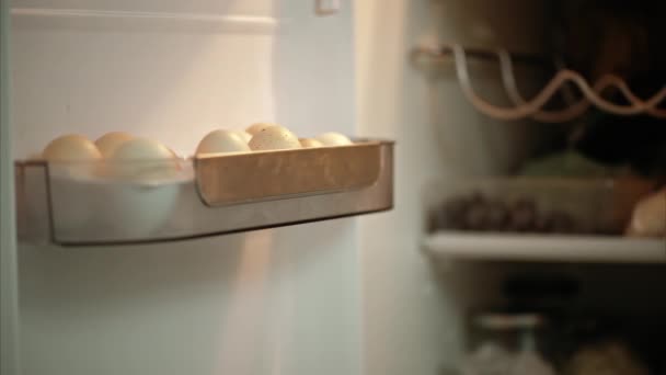 Fila Los Huevos Puerta Abierta Del Refrigerador Cierran — Vídeos de Stock