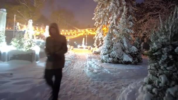 Parque Central Chisinau Cubierto Nieve Por Noche — Vídeos de Stock