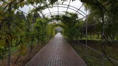 Dendrarium parkının hava aracı görüntüsü. Chisinau, Moldova