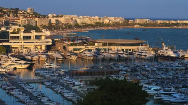 Gammal Hamn Med Båtar Och Segelbåtar Staden Cannes Bakgrunden Långsamma — Stockvideo