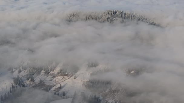 Vista Aérea Drones Montanhas Inverno Com Nevoeiro Parque Nacional Ceahlau — Vídeo de Stock
