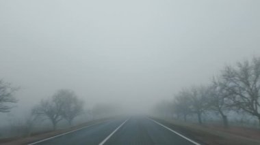 Sabahın köründe, sisli ve ağaçlı bir araba penceresi ve yolu görüyorum.