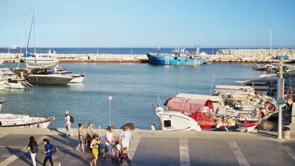 Limassol Chipre Agosto 2023 Gente Caminando Por Paseo Marítimo Del — Vídeos de Stock