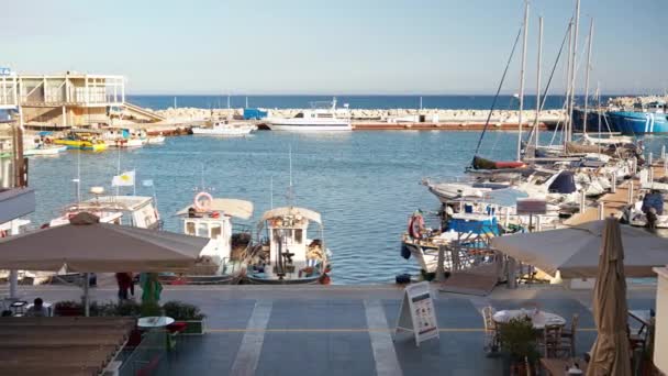 Limassol 키프로스 2023년 햇빛에 카페와 레스토랑 포트의 산책로에서 사람들 — 비디오