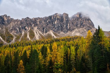 Sonbahar mevsiminde Dolomitler Dağları ve ormanlar. İtalya