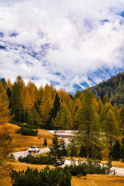 Dolomites Mountains and golden forest in autumn season. Italy