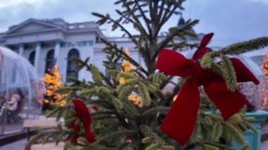 Akşamları köknar dallı kırmızı noel süslemeleri.