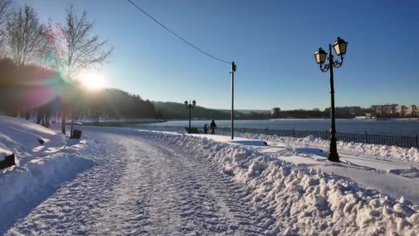 Valea Morilor Lago Parque Cubierto Nieve Blanca Invierno Chisinau Moldavia — Vídeo de stock