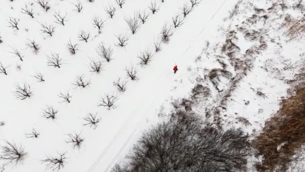 冬の間 野原で動物を探している男のハンターの空中ドローンビュー 雪に覆われた地面 — ストック動画