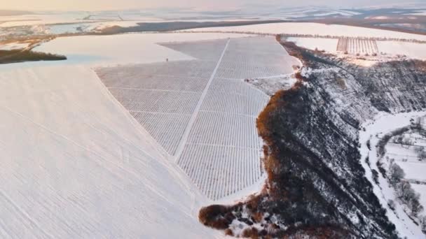太阳升起时 空中俯瞰着被雪覆盖的老奥赫人 摩尔多瓦冬季的田野 — 图库视频影像