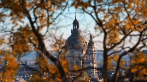 圣史提芬大教堂 前面有黄叶的分枝 匈牙利布达佩斯落日 — 图库视频影像