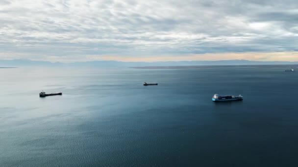 大規模な水の真ん中に浮かぶ貨物船の空中ドローンビュー クリアな空 落ち着いた青い水 — ストック動画