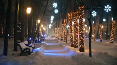 Moldova Cumhuriyeti Parlamentosu, ulusal amblem, aydınlanma ve akşamları Noel süslemeleri ile. Zemin karla kaplıydı. Chisinau 'da kış