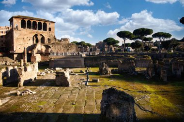 Trajan 'ın önemli antik hükümet binalarının kalıntılarıyla dolu Forumu. Roma, İtalya