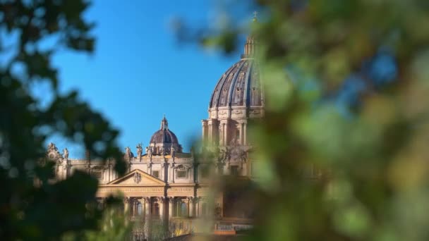 Vatikánvárosi Szent Péter Bazilika Kupolája Zöld Levelek Előtérben Naplemente Olaszországban — Stock videók