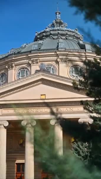 Rumuńska Athenaeum Zachodzie Słońca Gałęzie Figowe Pierwszym Planie Pionowy Strzał — Wideo stockowe